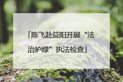 陈飞赴益阳开展“法治护绿”执法检查