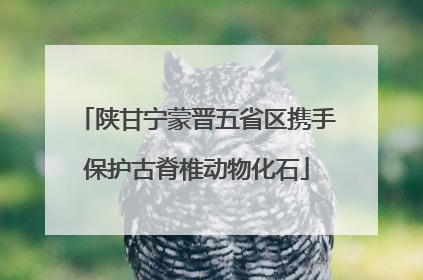 陕甘宁蒙晋五省区携手保护古脊椎动物化石
