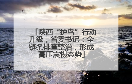 陕西“护鸟”行动升级，省委书记：全链条排查整治，形成高压震慑态势