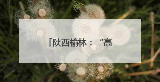 陕西榆林：“高碳城市”开启低碳发展新篇章