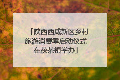 陕西西咸新区乡村旅游消费季启动仪式在茯茶镇举办