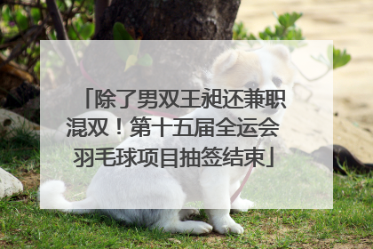 除了男双王昶还兼职混双！第十五届全运会羽毛球项目抽签结束