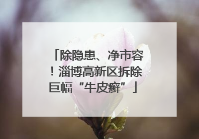 除隐患、净市容！淄博高新区拆除巨幅“牛皮癣”