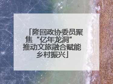 隆回政协委员聚焦“亿年龙洞” 推动文旅融合赋能乡村振兴