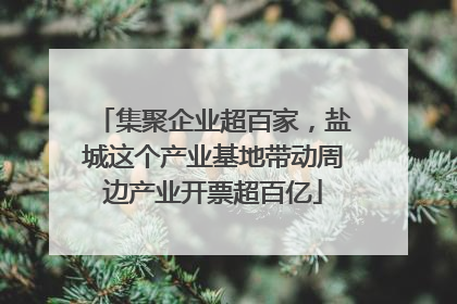 集聚企业超百家，盐城这个产业基地带动周边产业开票超百亿