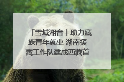 雪域湘音丨助力藏族青年就业 湖南援藏工作队建成西藏首个清洁能源装备园