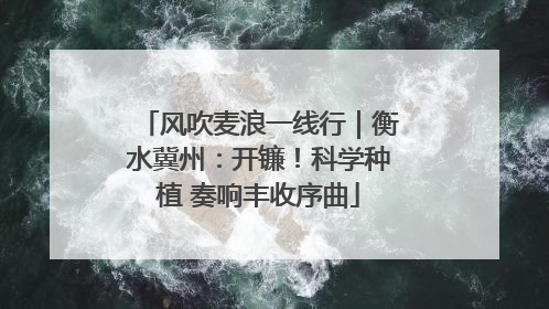 风吹麦浪一线行｜衡水冀州：开镰！科学种植 奏响丰收序曲