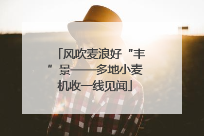 风吹麦浪好“丰”景——多地小麦机收一线见闻
