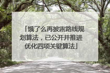 饿了么再披露路线规划算法，已公开并推进优化四项关键算法