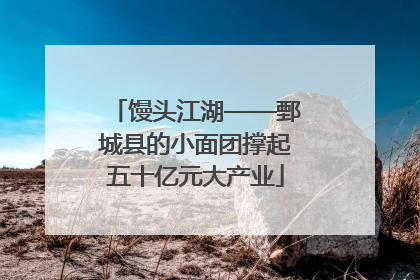馒头江湖——鄄城县的小面团撑起五十亿元大产业