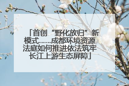 首创“野化放归”新模式……成都环境资源法庭如何推进依法筑牢长江上游生态屏障