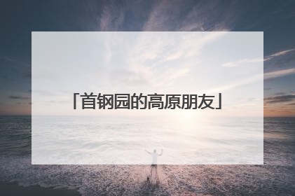 首钢园的高原朋友