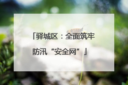 驿城区：全面筑牢防汛“安全网”