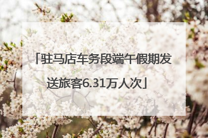 驻马店车务段端午假期发送旅客6.31万人次