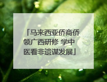 马来西亚侨商侨领广西研修 学中医看非遗谋发展