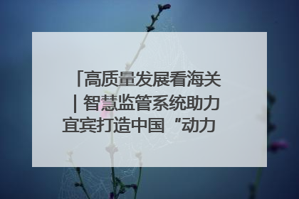高质量发展看海关｜智慧监管系统助力宜宾打造中国“动力电池之都”