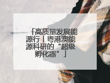 高质量发展能源行丨粤港澳能源科研的“超级孵化器”