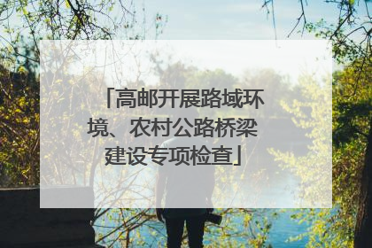 高邮开展路域环境、农村公路桥梁建设专项检查