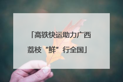 高铁快运助力广西荔枝“鲜”行全国