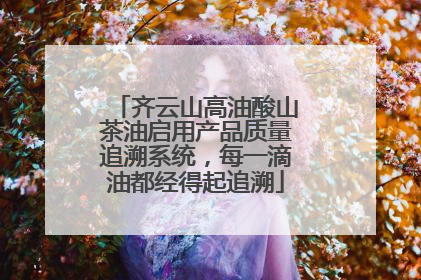 齐云山高油酸山茶油启用产品质量追溯系统，每一滴油都经得起追溯