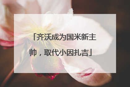 齐沃成为国米新主帅，取代小因扎吉