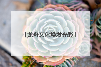 龙舟文化焕发光彩