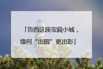 鲁西这座宝藏小城，缘何“出圈”更出彩