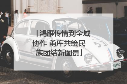 鸿雁传情到全域协作 甬库共绘民族团结新图景