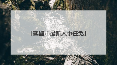 鹤壁市最新人事任免