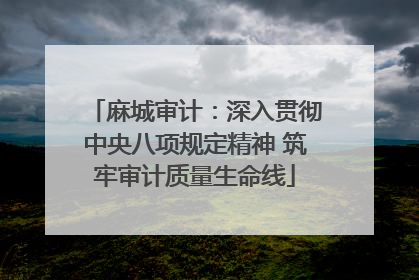 麻城审计：深入贯彻中央八项规定精神 筑牢审计质量生命线