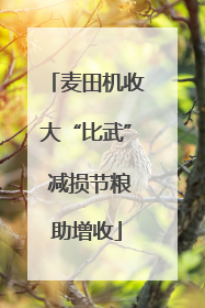 麦田机收大“比武” 减损节粮助增收