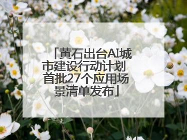 黄石出台AI城市建设行动计划 首批27个应用场景清单发布