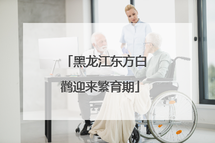 黑龙江东方白鹳迎来繁育期