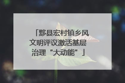 黟县宏村镇乡风文明评议激活基层治理“大动能”