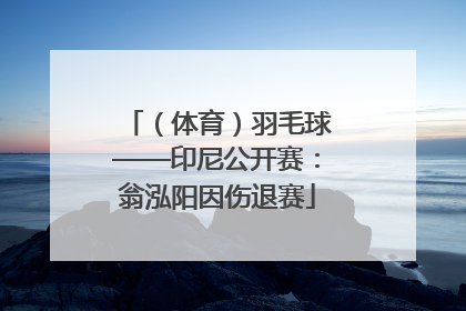 （体育）羽毛球——印尼公开赛：翁泓阳因伤退赛