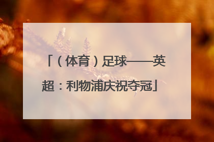 （体育）足球——英超：利物浦庆祝夺冠