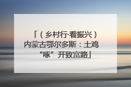 （乡村行·看振兴）内蒙古鄂尔多斯：土鸡“啄”开致富路