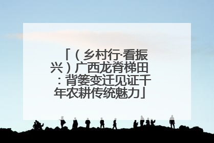 （乡村行·看振兴）广西龙脊梯田：背篓变迁见证千年农耕传统魅力