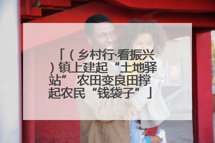 （乡村行·看振兴）镇上建起“土地驿站” 农田变良田撑起农民“钱袋子”