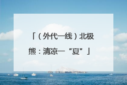 （外代一线）北极熊：清凉一“夏”