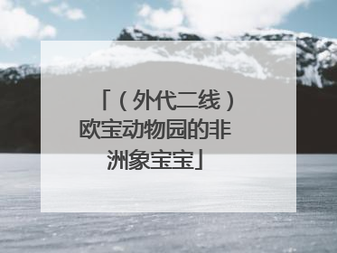 （外代二线）欧宝动物园的非洲象宝宝