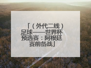 （外代二线）足球——世界杯预选赛：阿根廷赛前备战
