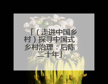 （走进中国乡村）探寻中国式乡村治理：后陈二十年