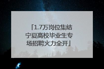 1.7万岗位集结 宁夏高校毕业生专场招聘火力全开