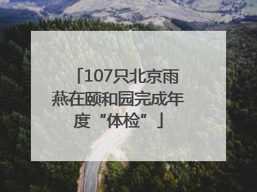 107只北京雨燕在颐和园完成年度“体检”