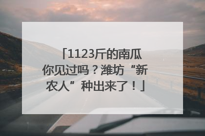 1123斤的南瓜你见过吗？潍坊“新农人”种出来了！