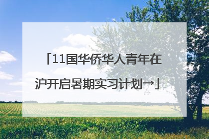 11国华侨华人青年在沪开启暑期实习计划→