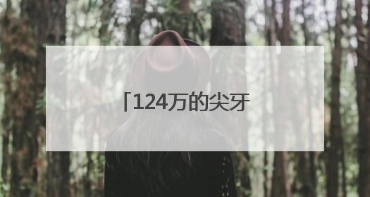 124万的尖牙玩偶 咬痛了谁的消费尊严？