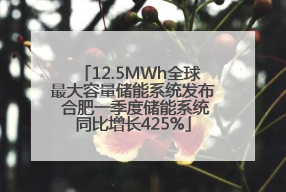 12.5MWh全球最大容量储能系统发布 合肥一季度储能系统同比增长425%