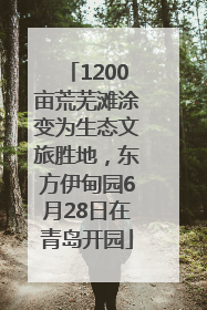 1200亩荒芜滩涂变为生态文旅胜地，东方伊甸园6月28日在青岛开园